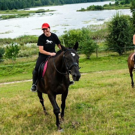 Вілла Stajnia Grazyny Mikorowo 46 Czarna Dabrowka Екстер'єр фото